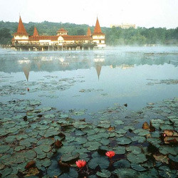 hunlife alapanyag hévízi iszap