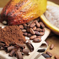 hunlife alapanyag kakaó