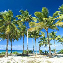 hunlife alapanyag kókuszolaj