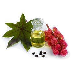 hunlife alapanyag ricinusolaj