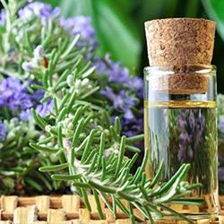 hunlife alapanyag rozmaring